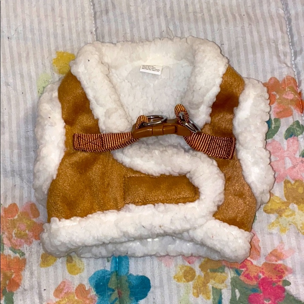 Cute pet harness